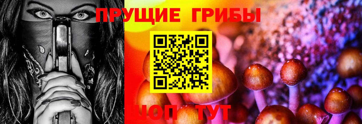 Галлюциногенные грибы Psilocybine cubensis Клинцы