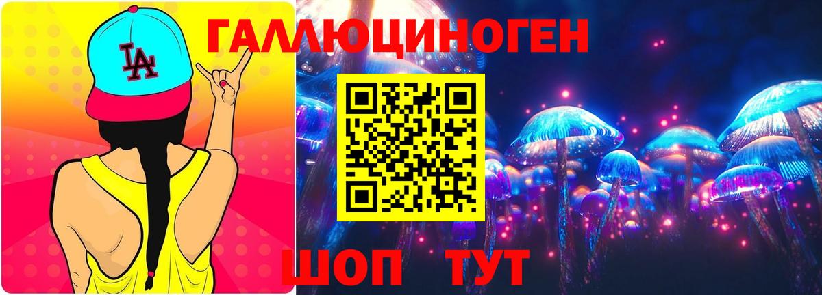 Галлюциногенные грибы Psilocybe  Вход с VPN  Клинцы 